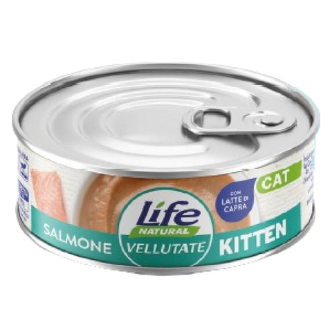 Vellutata 70g Salmone Kitten