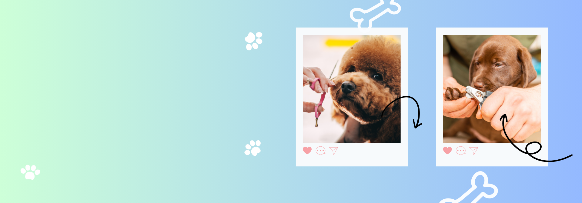 Servizio di Toilettatura Completo