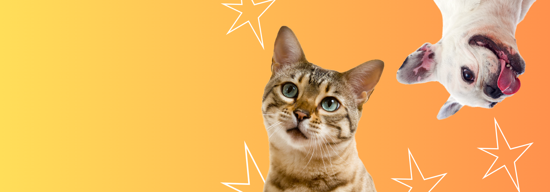 Sconto del 10% sul primo ordine